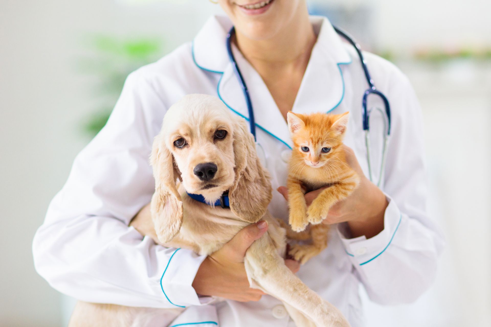 a woman gently holds a dog and a cat in her arms