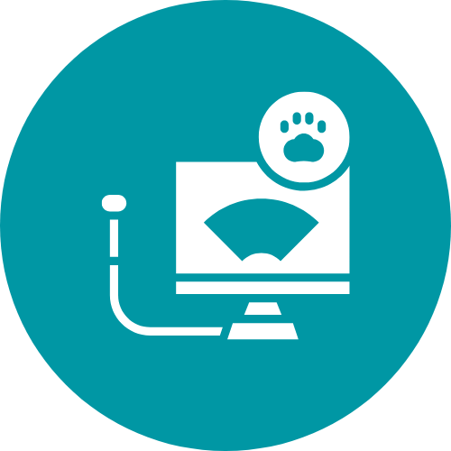 diagnostics icon