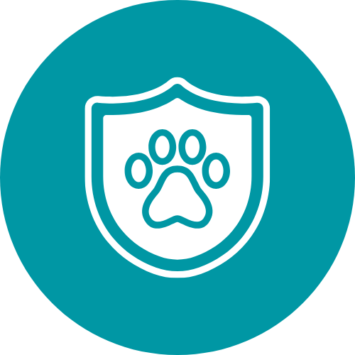 Vaccinations icon